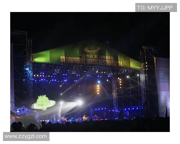 安内卡:从街头球场到世界舞台的传奇之路 安内卡:从街头球场到世界舞台的传奇之路