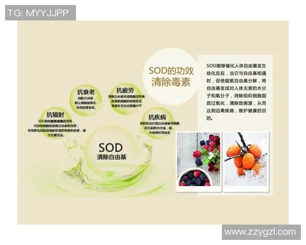 足球球星热爱糖果背后的秘密与健康影响揭秘 足球球星热爱糖果背后的秘密与健康影响揭秘