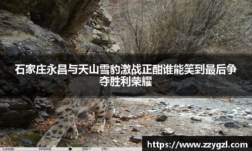 石家庄永昌与天山雪豹激战正酣谁能笑到最后争夺胜利荣耀